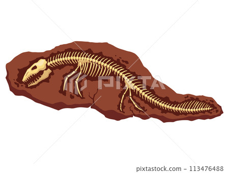 Dinosaur fossil skeleton bones, excavations of archeology isolated. Prehistoric reptile skeletons lying underground. Cartoon paleontological artifact Dinosaur fossil skeleton bones, excavations of archeology isolated. Prehistoric reptile skeletons lying underground. Cartoon paleontological artifact 113476488