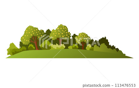 Spring season. Seasonal banner with green tree for social media stories wallpaper, landscape with copy space for text. Vector illustration 113476553