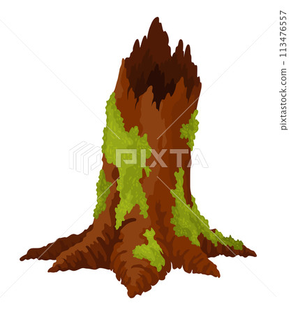 Log, stump in moss. Cartoon tree lichen in swamp jungle. Broken oak in tropical damp forest. Isolated vector design element on white background Log, stump in moss. Cartoon tree lichen in swamp jungle. Broken oak in tropical damp forest. Isolated vector design element on white background 113476557
