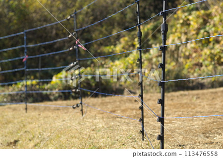 Electric fences stretched across farmland to keep out pests 113476558