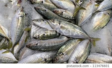Fishes covered with ice. Seafood sale in wet market Fishes covered with ice. Seafood sale in wet market 113476601