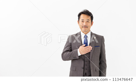 Lawyer portrait 113476647