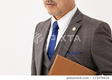 Businessman Lawyer Badge Businessman Lawyer Badge 113476656