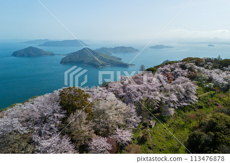 櫻花盛開的下山 113476878