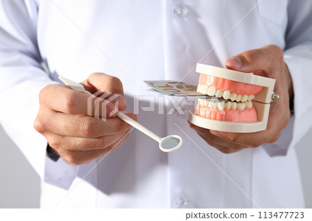 Dental instrument and jaw in hands of dentist on light background 113477723