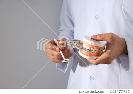 Dental instrument and jaw in hands of dentist on gray background, space for text 113477725