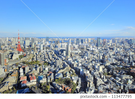 東京市中心城市 113477795