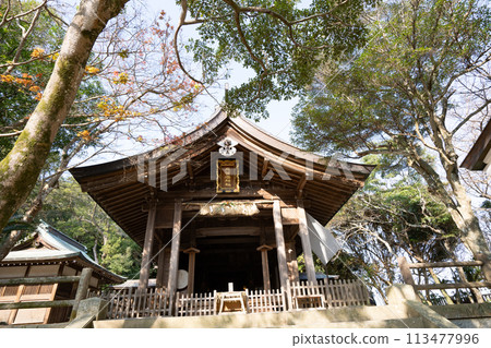 Shigaumi Shrine <Fukuoka City, Fukuoka Prefecture/December 2023> 113477996