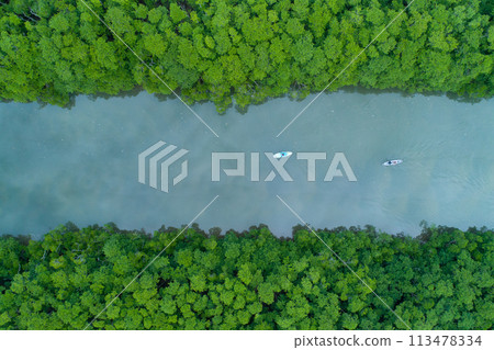 People sprinting up a river in the mangrove forest of Iriomote Island 113478334
