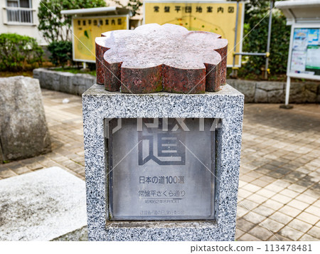 Monument commemorating the 100 best roads in Japan - Tokiwadaira Sakura Street, Matsudo City, Chiba Prefecture 113478481