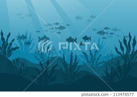 Underwater ocean landscape, algae and reefs, silhouette of a school of fish. Seabed background with ocean flora and fauna, corals, silhouettes of sea animals. Vector Underwater ocean landscape, algae and reefs, silhouette of a school of fish. Seabed background with ocean flora and fauna, corals, silhouettes of sea animals. Vector 113478577