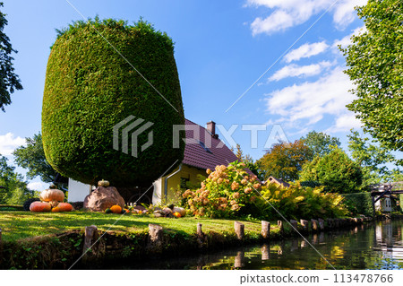 Scenic view of green riverside garden house german national park Spreewald on spring summer sunny day . Spree river forest greenery canal nature tranquil landscape in Germany blue sky background 113478766