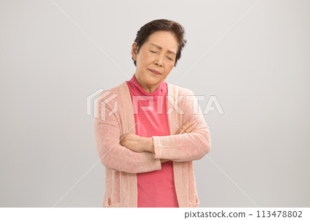 高級女性的肖像 113478802