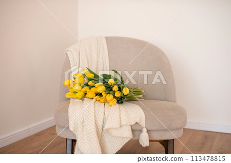 Cozy Corner with Spring Tulips 113478815