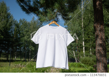 White T-shirt hanging on a hanger, layout White T-shirt hanging on a hanger, layout 113478831