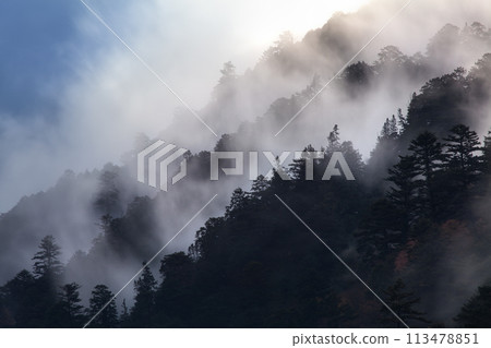 雨後水汽上升的山 113478851