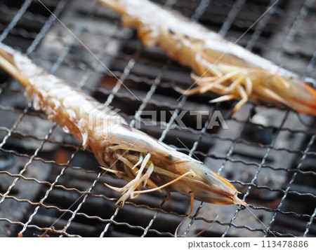 Grilled seafood (shrimp) Grilled seafood (shrimp) 113478886