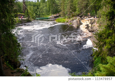 Rushing River Through Forested Landscape Rushing River Through Forested Landscape 113478957