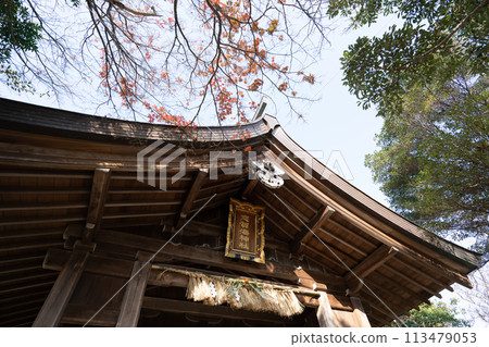 志賀海神社<福岡縣福岡市/2023年12月> 113479053