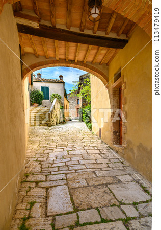 View of the Roman stone road through the arch and the beautiful Italian courtyard under the blue sky.Vertical photo 113479419
