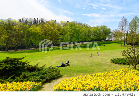 Part of the park with a large green meadow, with families with children on vacation. Unrecognizable contours of people without faces 113479422