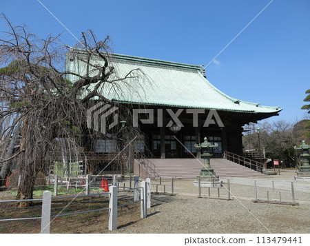 文京區（Hondou）的Gokoku-ji寺 113479441