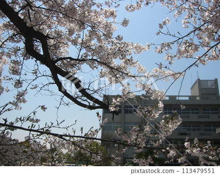 2004, Kagawa, Utazu, Landscape, No. 22 2004, Kagawa, Utazu, Landscape, No. 22 113479551