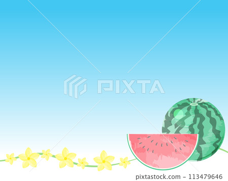 Summer landscape with blue sky and watermelon 113479646