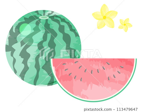 Illustration of cut watermelon 113479647
