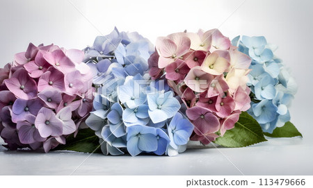 Exquisite art depicting the beauty of hydrangeas No.001 AI-generated image Exquisite art depicting the beauty of hydrangeas No.001 AI-generated image 113479666