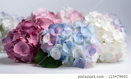 Exquisite art depicting the beauty of hydrangeas No.003 AI-generated image 113479681