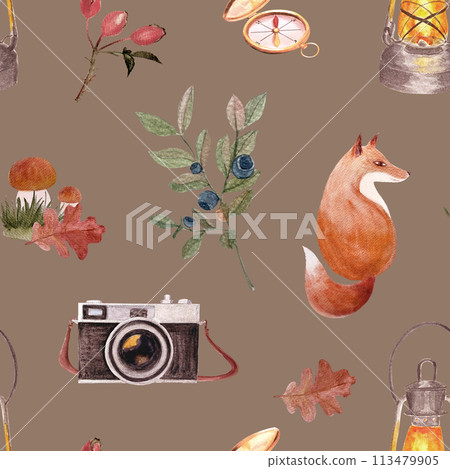 Fox with camera, compass mushrooms, watercolor seamless pattern on brown background. Hand drawn high quality art in simple style for woodland kids designs, textile, interior decor, stickers, logo 113479905