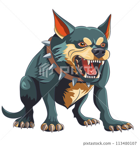 Angry aggressive dog in a collar with spikes and exposed fangs isolated on a white background. 113480107