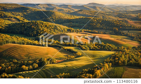 Autumn Harmony: Sunset Over Undulating Hills 113480116