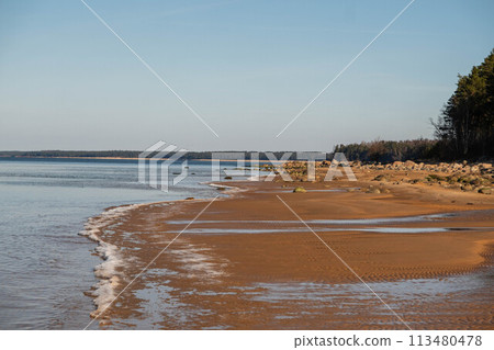 Serene Beach Landscape with Gentle Waves and Clear Sky 113480478