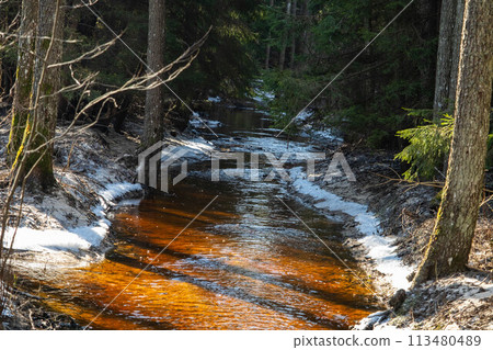 Sunlit Winter Stream Flowing Through Snowy Forest Sunlit Winter Stream Flowing Through Snowy Forest 113480489
