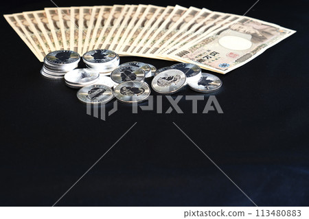 Beautifully shining silver coins and paper money 113480883