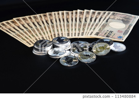 銀幣和紙幣是閃閃發光的真實資產。 113480884