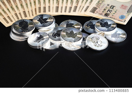 銀幣和紙幣是閃閃發光的真實資產。 113480885