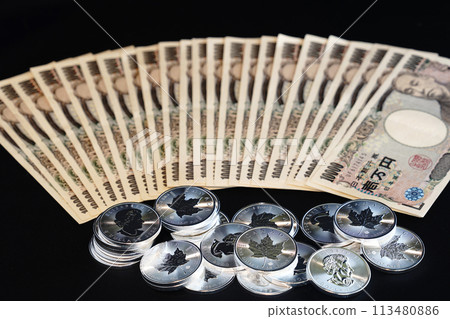 銀幣和紙幣是閃閃發光的真實資產。 113480886