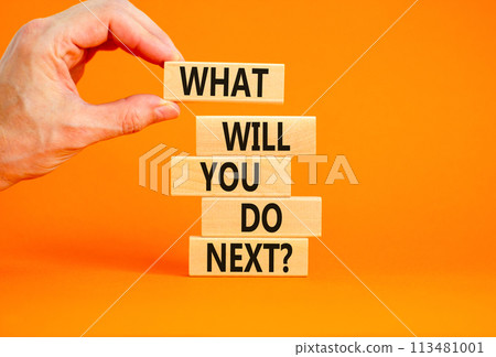What will you do next symbol. Concept words What will you do next on wooden blocks. Beautiful orange table orange background. Businessman hand. Business, what will you do next concept. Copy space. 113481001