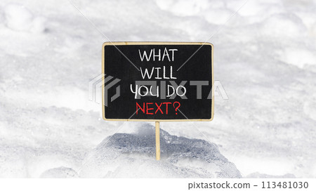 What will you do next symbol. Concept words What will you do next on beautiful blackboard. Beautiful snow background. Business, what will you do next concept. Copy space. 113481030