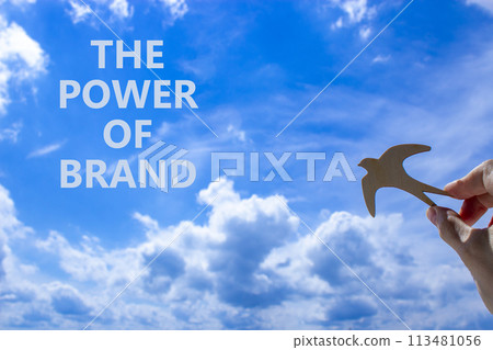 The power of brand symbol. Concept words The power of brand. Beautiful blue sky cloud background. Voter hand with wooden bird. Business the power of brand concept. Copy space. The power of brand symbol. Concept words The power of brand. Beautiful blue sky cloud background. Voter hand with wooden bird. Business the power of brand concept. Copy space. 113481056