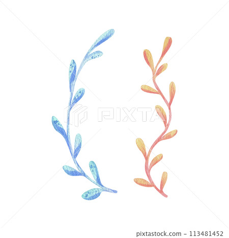 Seaweed, coral, ocean underwater coral reef animals. Watercolor illustration, hand drawn in pastel colors: pink, peach, coral, turquoise, blue. Set of elements isolated from background. Seaweed, coral, ocean underwater coral reef animals. Watercolor illustration, hand drawn in pastel colors: pink, peach, coral, turquoise, blue. Set of elements isolated from background. 113481452