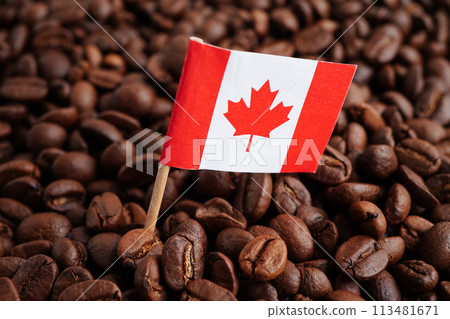 Canada flag on coffee beans, shopping online for export or import food product. 113481671
