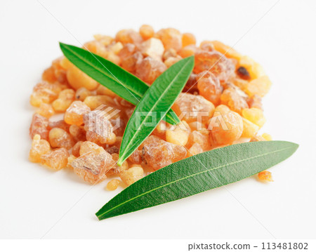 Frankincense or olibanum aromatic resin used in incense and perfumes. 113481802