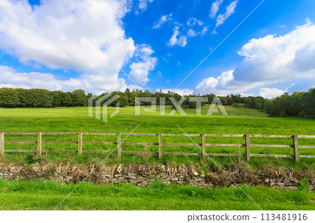 Countryside view of green field. Nature landscape 113481916