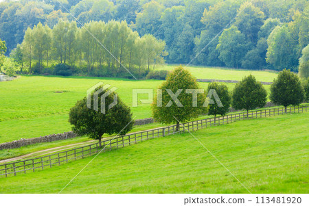 Countryside view of green field. Nature landscape Countryside view of green field. Nature landscape 113481920