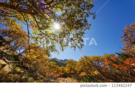 南阿爾卑斯山的馬野瀨和千疊岳的秋葉 113482247