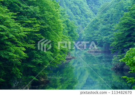 山的新鮮綠色 山的新鮮綠色 113482670